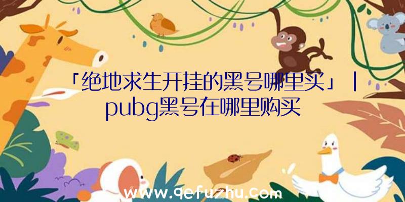 「绝地求生开挂的黑号哪里买」|pubg黑号在哪里购买